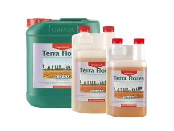 CANNA - TERRA FLORES