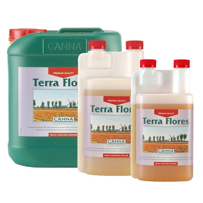CANNA - TERRA FLORES