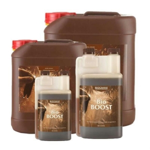 BIOCANNA - BIO BOOST