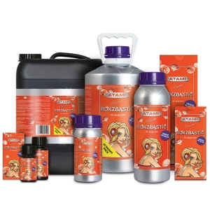 ATAMI B'CUZZ- ROKZBASTIC