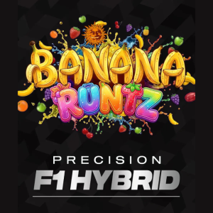 BARNEY'S FARM - BANANA RUNTZ FEM (PRECISION F1 HYBRID)