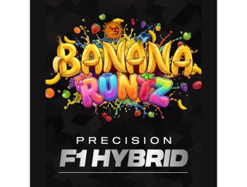 BARNEY'S FARM - BANANA RUNTZ FEM (PRECISION F1 HYBRID)