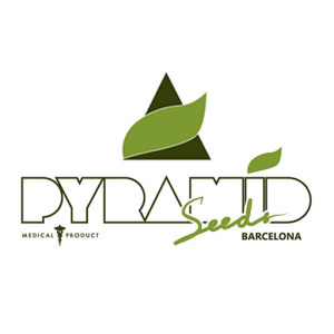 PYRAMID SEEDS - TUTANKHAMON FEM