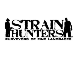 STRAIN HUNTERS SEED BANK
