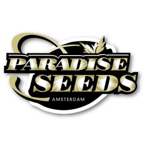 PARADISE SEEDS - BELLADONNA FEM Disponibili fino a fine scorte