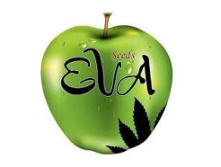 EVA SEEDS
