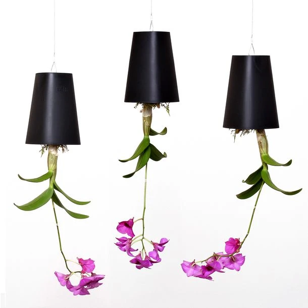 SKYPMBL - SKYPLANTER MITTEL SCHWARZ BOSKKE