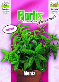4357025 - FLORTIS | MENTA