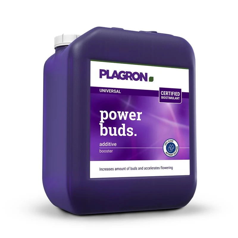 A33324 - PLAGRON - POWER BUDS | 5L