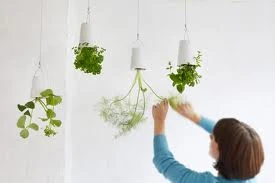 SKYPL - SKYPLANTER LARGE WHITE BOSKKE