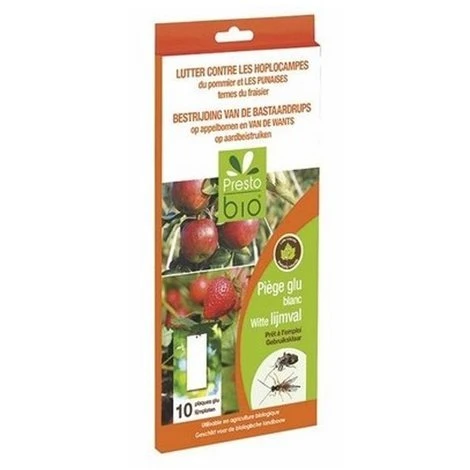 8240040001 - WHITE ADHESIVE CHROMOTROPIC TRAP AGAINST STRAWBERRY BUG AND APPLE BUDWORM 10 PIECES