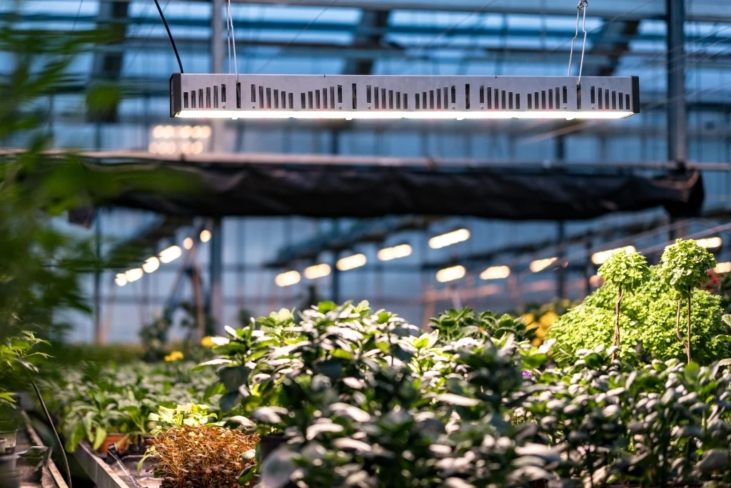 AA4030 - SANLIGHT - EVO 4C COMPACT 200-440V | 625W | PARA INVERNADERO