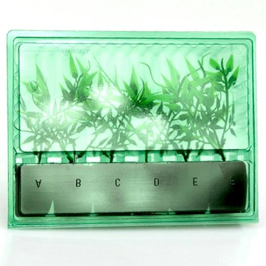 PM3304006CP - BLISTER PARA TRANSPORTE Y ENVIO 6 TALEE 3,6x3,6x4,5CM H12CM TALADRO 2CM