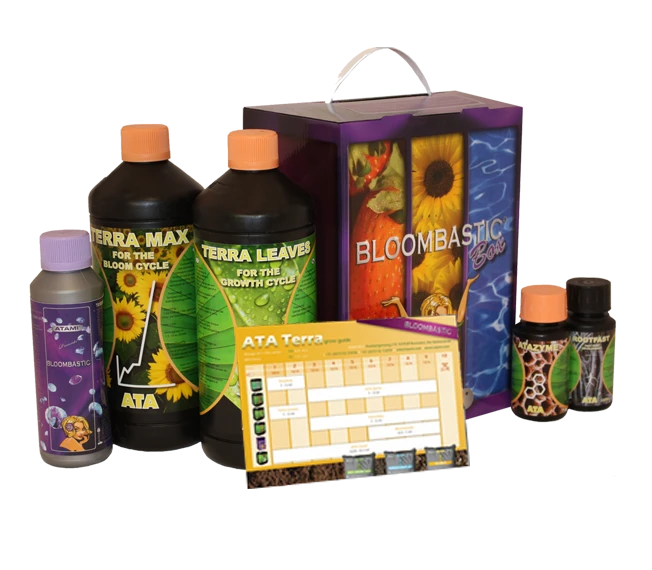 ATSK - ATA TERRA BLOOMBASTIC BOX ATAMI B'CUZZ