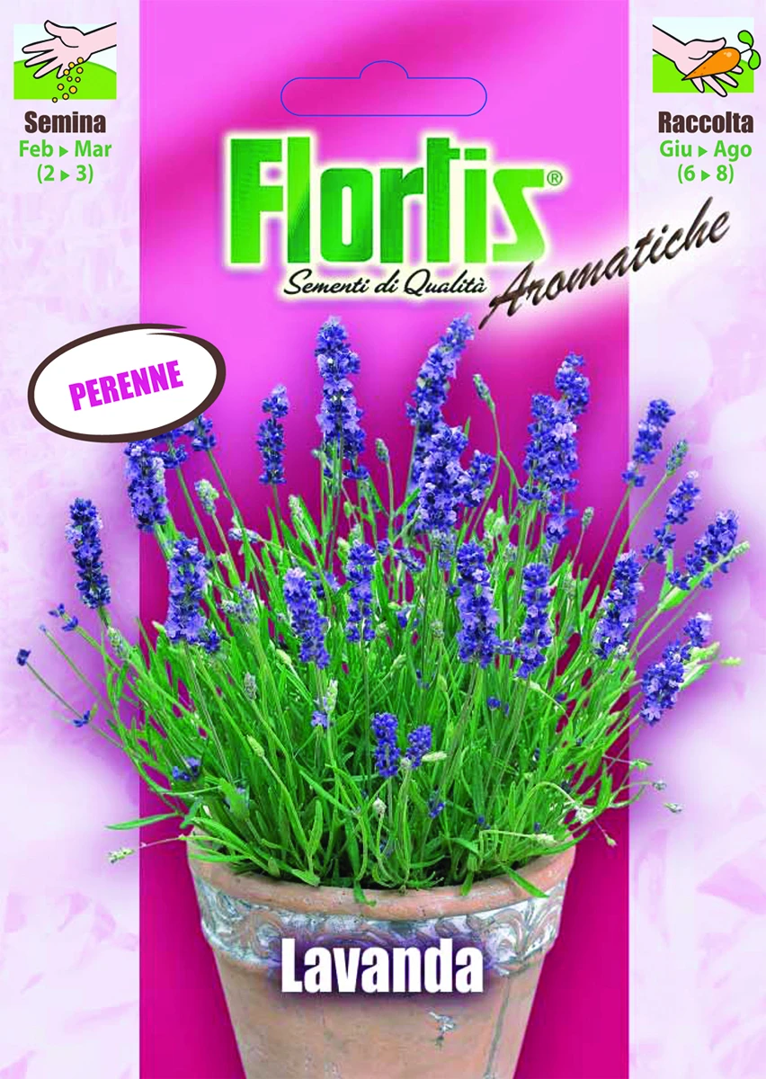 4357015 - FLORTIS | LAVANDA