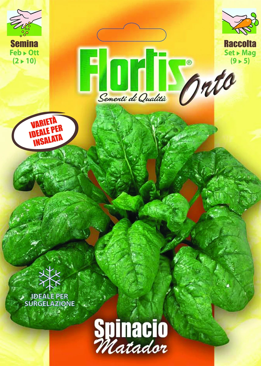 4355355 - FLORTIS | SPINACIO MATADOR