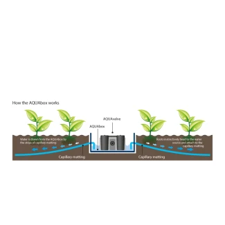 AUTOPOT - AQUABOX SPYDER SISTEMA DI SUBIRRIGAZIONE