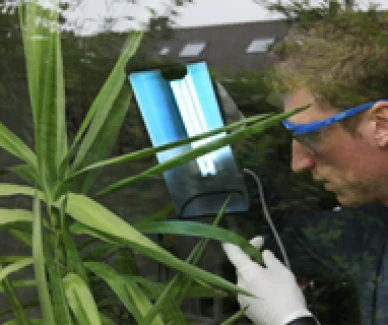 Clean Light Hobby Unit