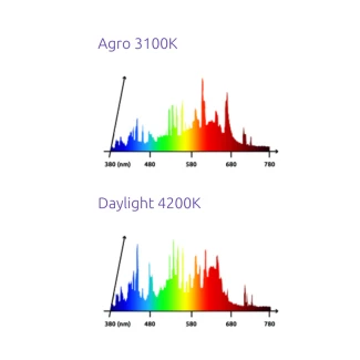 LUMATEK - BULBO CHM LEC | 315W 3100K | Indoorline