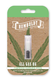 HSCAGO-5-F - HUMBOLDT SEEDS COMPANY - ALL GAS OG FEM | 5 SEMI