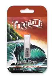 HSCSSF-5-F - HUMBOLDT SEEDS COMPANY - SLIGHTLY STOOPID FRUITS FEM | 5 SEMI