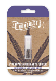 HSCPMA-10-F - HUMBOLDT SEEDS COMPANY - PINEAPPLE MUFFIN AUTO | 10 SEMI