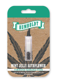 HSCMJA-10-F - HUMBOLDT SEEDS COMPANY - MINT JELLY AUTO | 10 SEMI