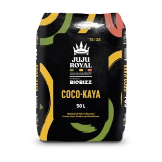 JUJU ROYAL VON BIOBIZZ - COCO KAYA