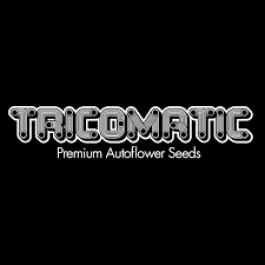 TRIC003-FATB003 - TRICOMATIC - FATBUD AUTO | 3 SEMI