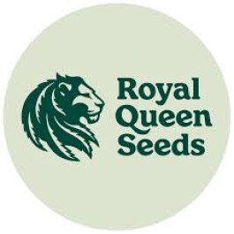 RQSFEM003096 - ROYAL QUEEN SEEDS - PINK GORILLA FEM | 3 SEMI