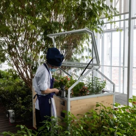 EXPOMNH - AGRICOOLTUR - MINIHORTUS | MODULO DI COLTIVAZIONE ED ESPOSIZIONE