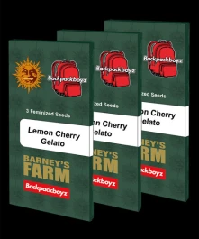 BF2007410 - BARNEY'S FARM - LEMON CHERRY GELATO FEM | 10 SEMI