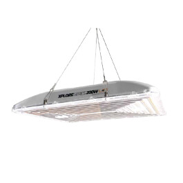 2961 - DIMLUX - XPLORE SERIES LED | 200W - 530 μmol/s - 2.73 μmol/J
