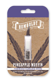 HSCPM-5-F - HUMBOLDT SEEDS COMPANY - PINEAPPLE MUFFIN FEM | 5 SEMI