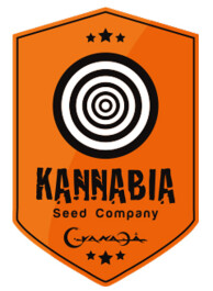 SKFF050016 - B.LEE AUTO 5 SEMI FEMM KANNABIA SEED COMPANY