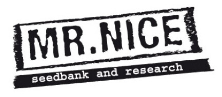 SMNN0013 - BLACK WIDOW 15 SEMILLAS REGULARES MR.NICE