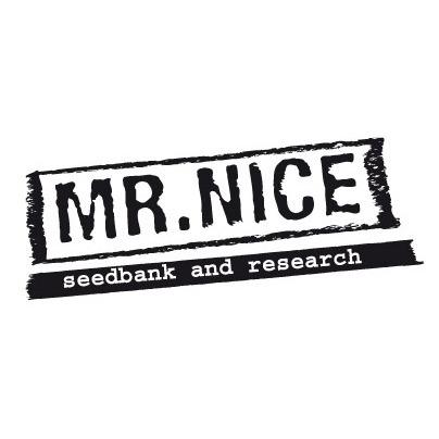 SMNN0013 - BLACK WIDOW 15 SEMILLAS REGULARES MR.NICE