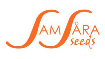 SAMSA3 - SHOT ADRENALINE AUTO 3 SEMI SAMSARA