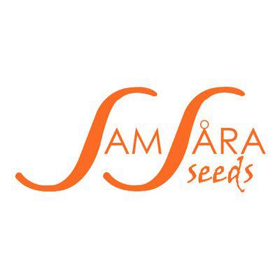 SAMUV5 - ULTRAVIOLET AUTO 5 SEMI SAMSARA