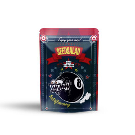 SEX039MILLE - SEEDSALAD - AUTO BANANA GELATO (USA STRAIN) | 1000 SEMI