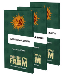BFAL10 - BARNEY'S FARM - AMNESIA LEMON FEM | 10 SEMI