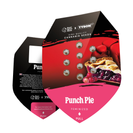 RQSFEM005086 - ROYAL QUEEN SEEDS - PUNCH PIE FEM (TYSON SEEDS) | 5 SEMI
