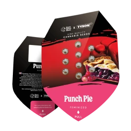 RQSFEM001086 - ROYAL QUEEN SEEDS - PUNCH PIE FEM (TYSON SEEDS) | 1 SEED