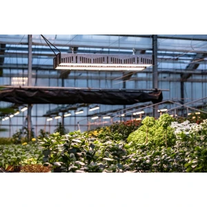 AA4050 - SANLIGHT - EVO 6C COMPACT 200-440V | 935W | FOR GREENHOUSE USE