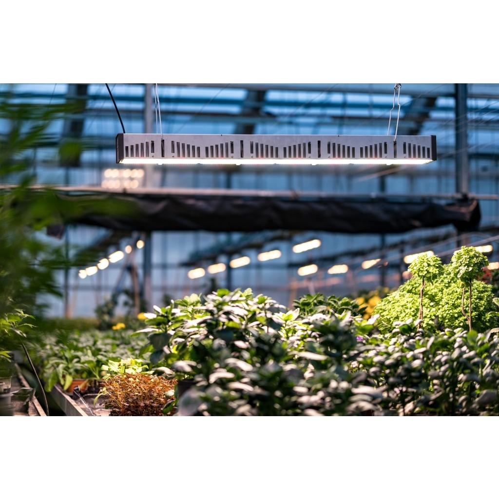 AA4030 - SANLIGHT - EVO 4C COMPACT 200-440V | 625W | PER UTILIZZO IN SERRA