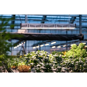 AA4030 - SANLIGHT - EVO 4C COMPACT 200-440V | 625W | FOR GREENHOUSE USE