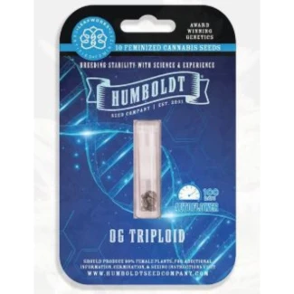 HSCOGTRPA-3-F - HUMBOLDT SEEDS COMPANY - OG TRIPLOID AUTO | 3 SEMI
