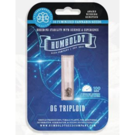HSCOGTRPA-3-F - HUMBOLDT SEEDS COMPANY - OG TRIPLOID AUTO | 3 SEMI