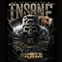 BF2009310 - BARNEY'S FARM - INSANE OG FEM | 10 SEMI