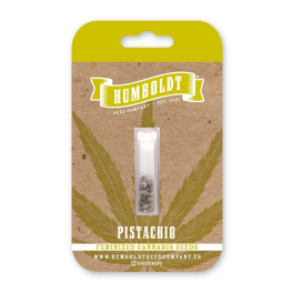 HSCPI-3-F - HUMBOLDT SEEDS COMPANY - PISTACHIO FEM | 3 SEMI